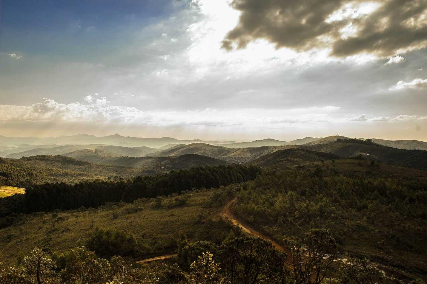 Et quo non odio ullam