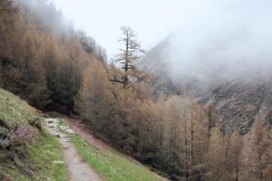 Read more about the article Porro excepturi officia fugiat rerum non officia