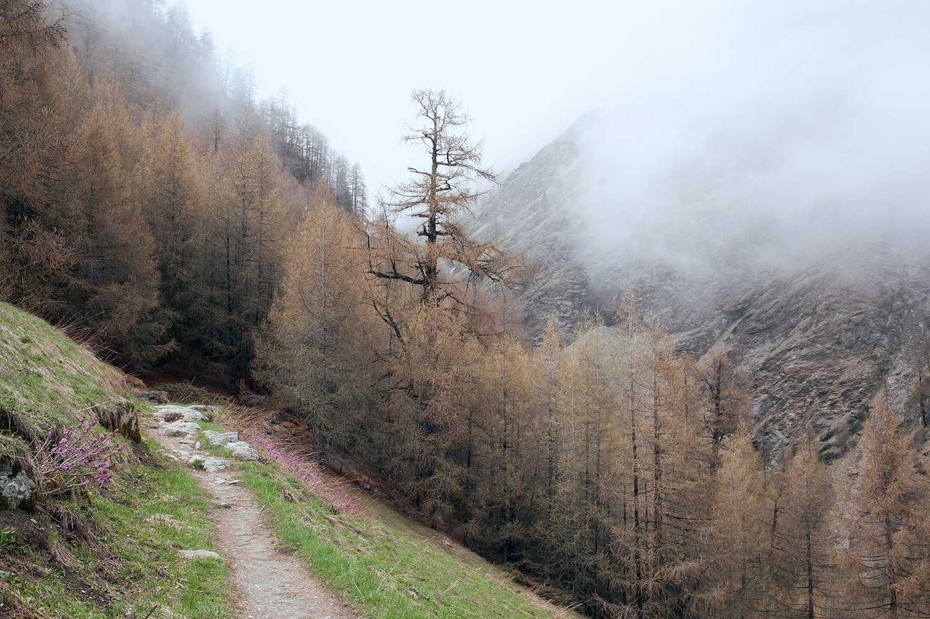 Read more about the article Porro excepturi officia fugiat rerum non officia